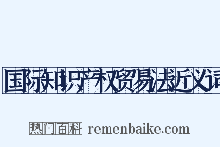 国际知识产权贸易法近义词是什么意思的图片